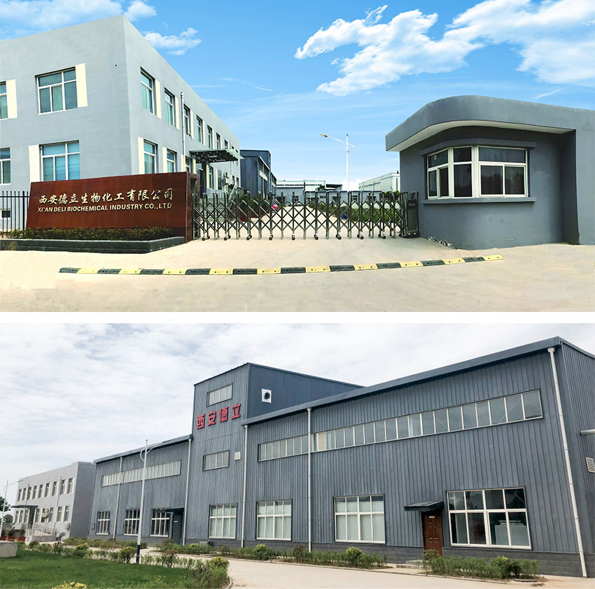 Xi'an Deli Biochemical Industry Co., Ltd.: Inovasi terkemuka dalam turunan siklodekstrin, memberdayakan industri farmasi